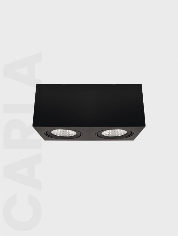 CARLA SERİSİ MS 612-2-118 SIVA ÜSTÜ SPOT