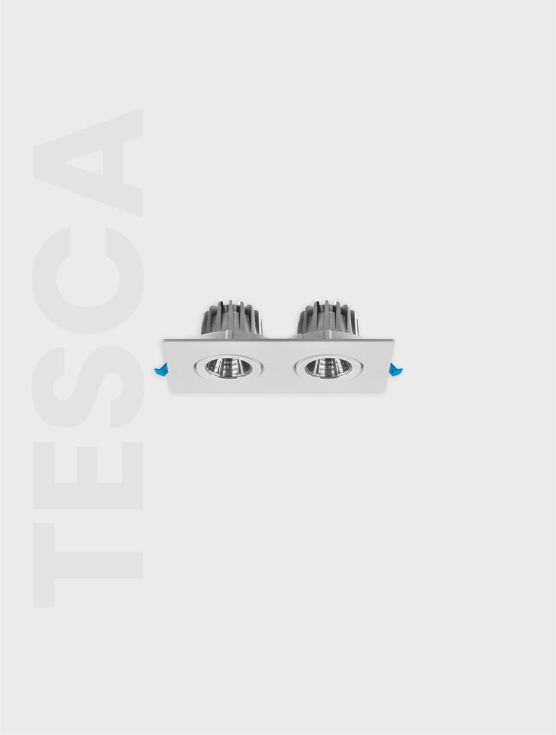 TESCA SERİSİ MD 101-2-60 SIVA ALTI SPOT