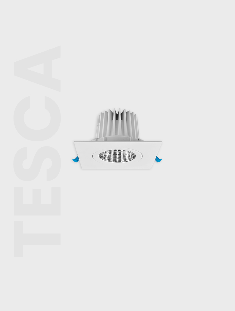 004.TESCA SERİSİ MD 101-1-100 SIVA ALTI SPOT